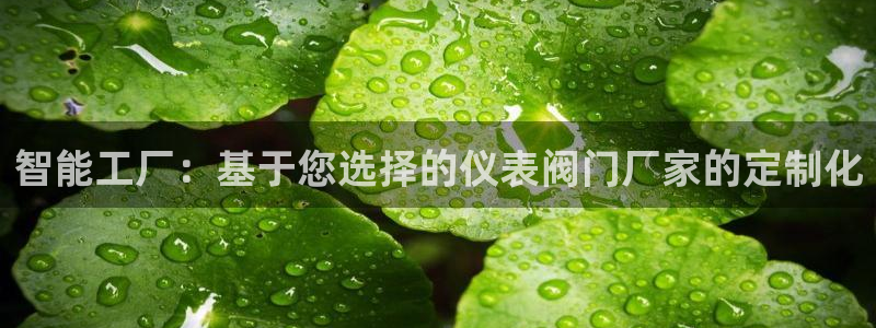 新宝gg娱乐盟主