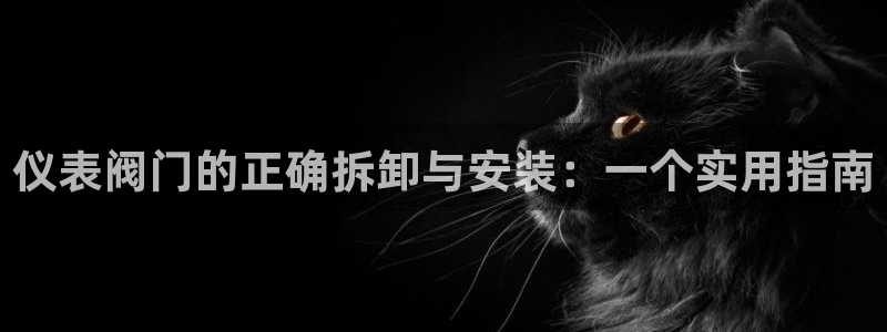 新宝gg平台连接