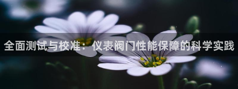 新宝gg 首页