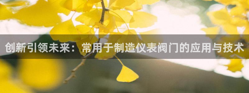 新宝gg娱乐登录地址
