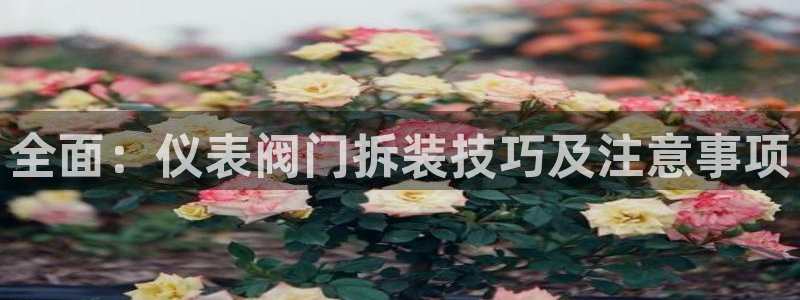 新宝gg平台首页