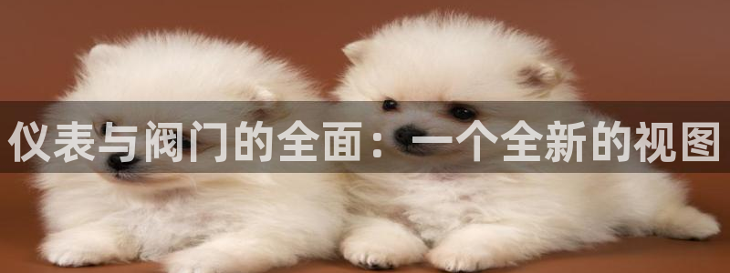 新宝GG管理