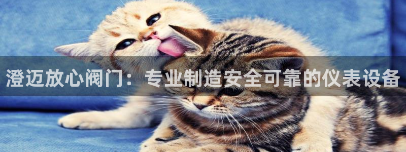 新宝gg盈亏
