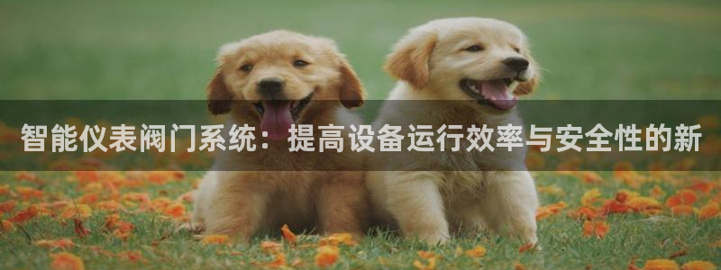 收新宝gg