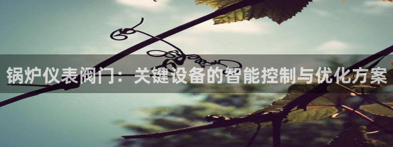 新宝gg创建奇迹