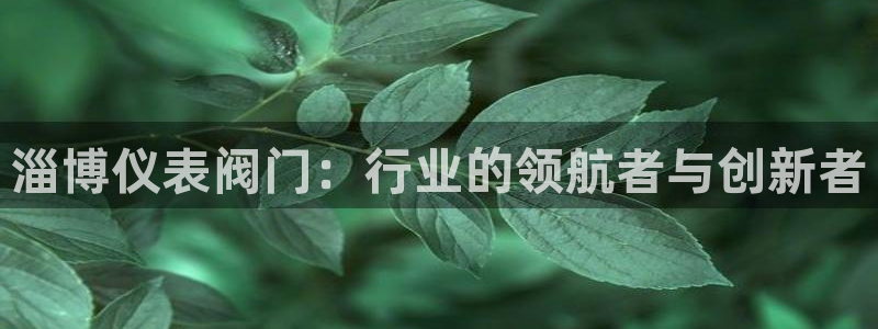 新宝gg娱乐客户端下载
