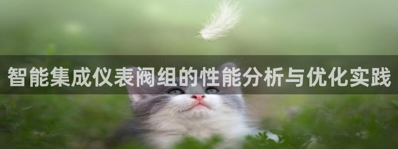新宝娱乐gg
