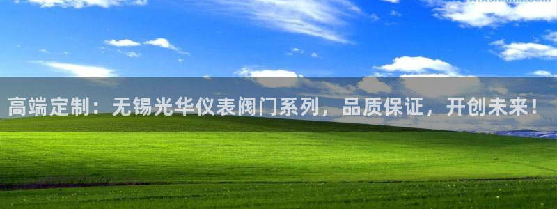 新宝gg总管