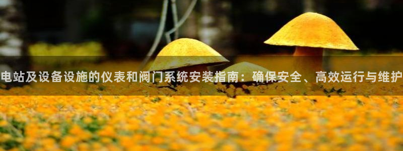手机新宝gg
