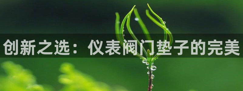 新宝gg app