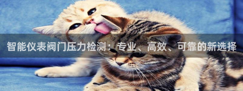 新宝GG于六七五一38