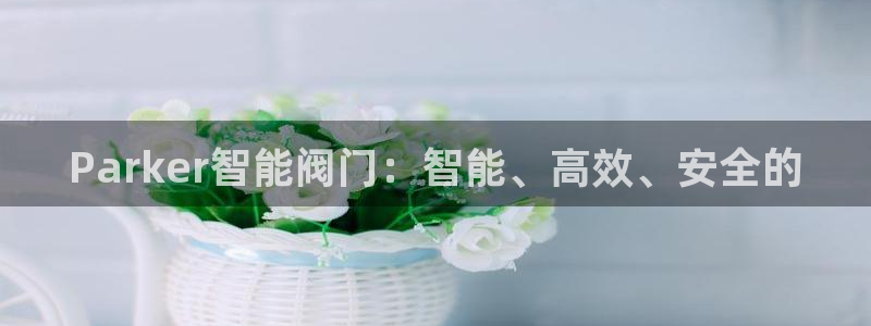 新宝gg-