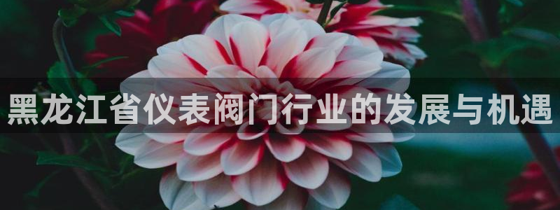 新宝奇迹GG