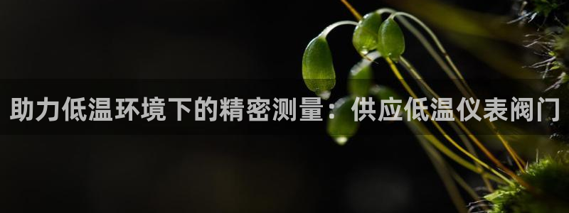 新宝gg开奖