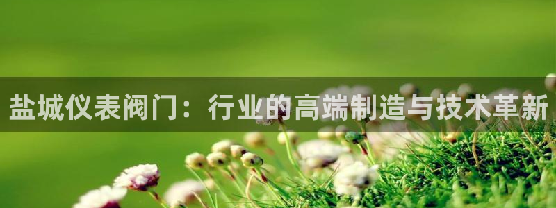 新宝gg专线