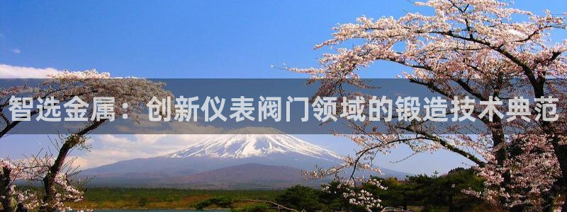 新宝GG专业团队