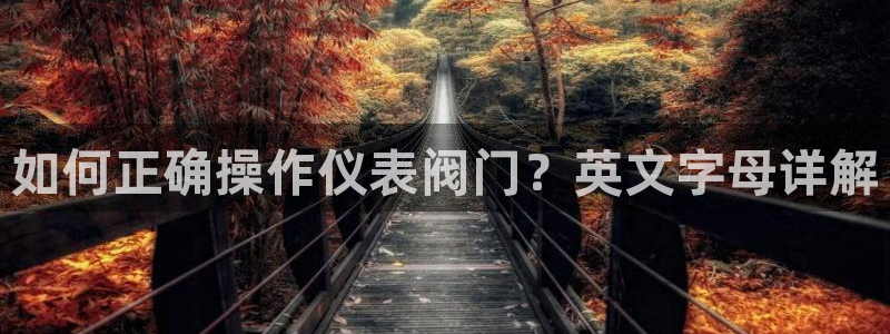 新宝gg 创造奇迹