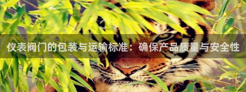 新宝GG电话