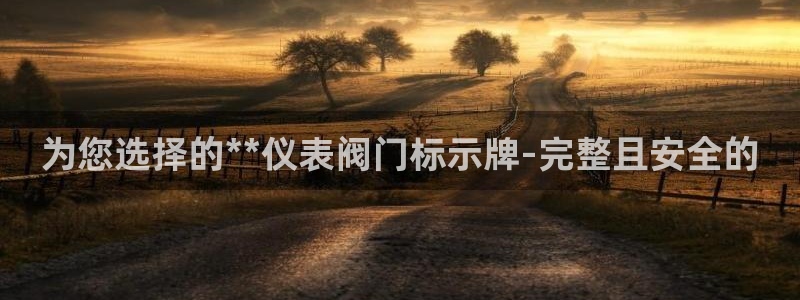 新宝gg主管