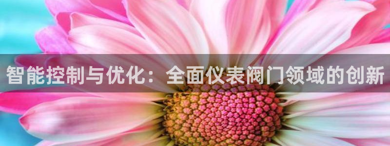 新宝gg平台开户