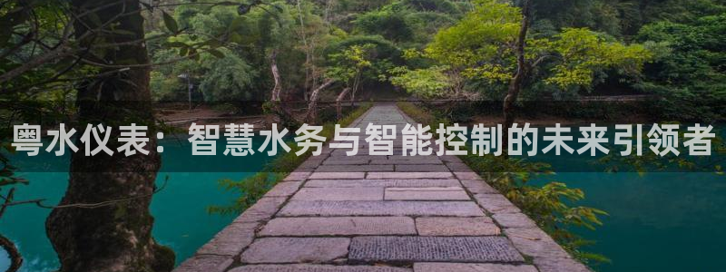 新宝gg开