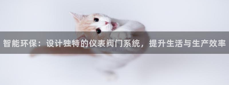 新宝gg专线