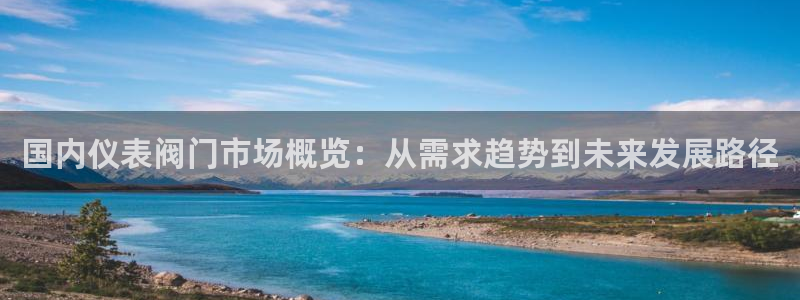 新宝gg玩法