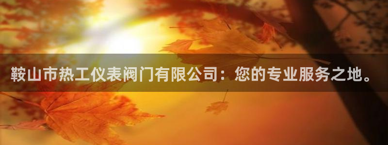 新宝gg分红
