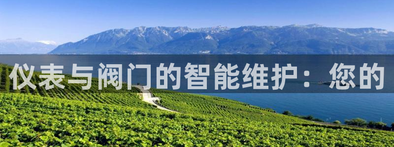 新宝gg直属上级