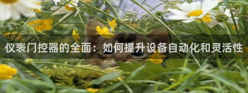 新宝gg维护