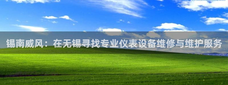 新宝gg主