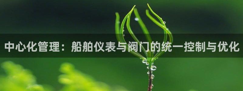 新宝gg作弊