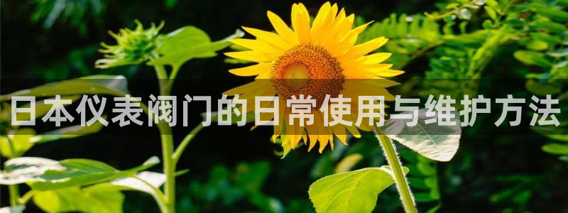 新宝gg建立团队