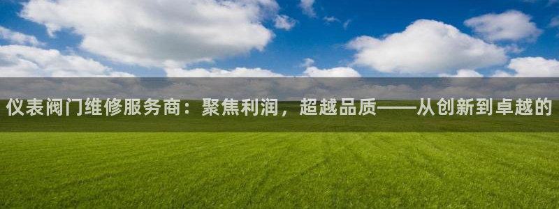 新宝GG反点