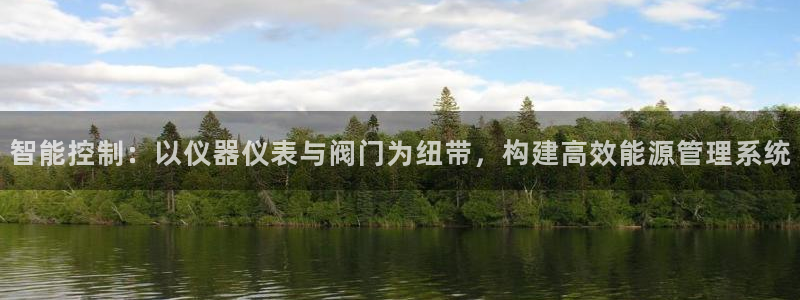 新宝gg什么