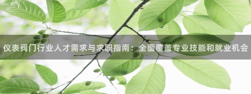 新宝gg怎么样