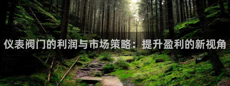 新宝gg样