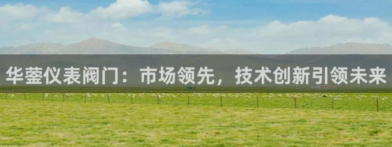 新宝gg娱乐平台