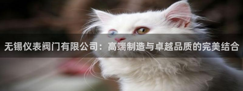 新宝gg提点
