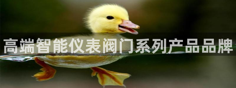 新宝gg娱乐