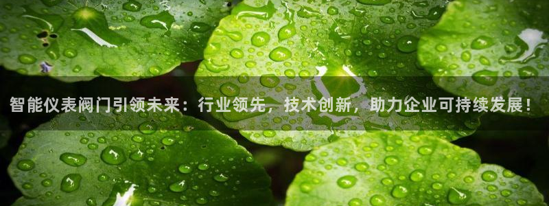 新宝gg怎么开户