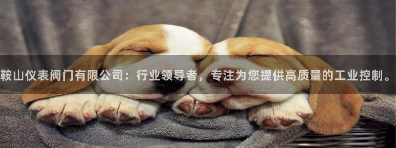 新宝gg 奇迹