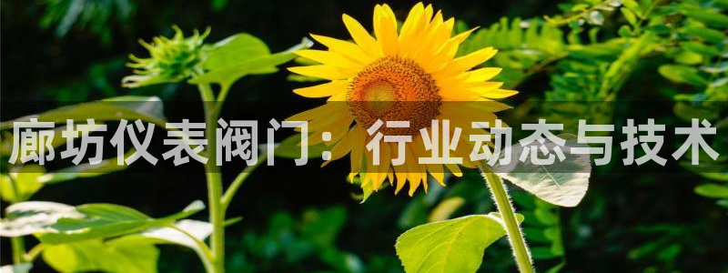 l新宝gg