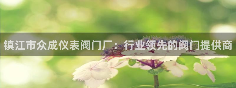网站新宝GG