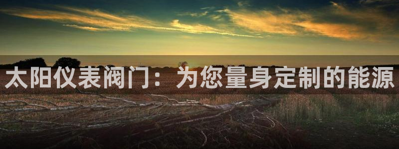 新宝gg总代理