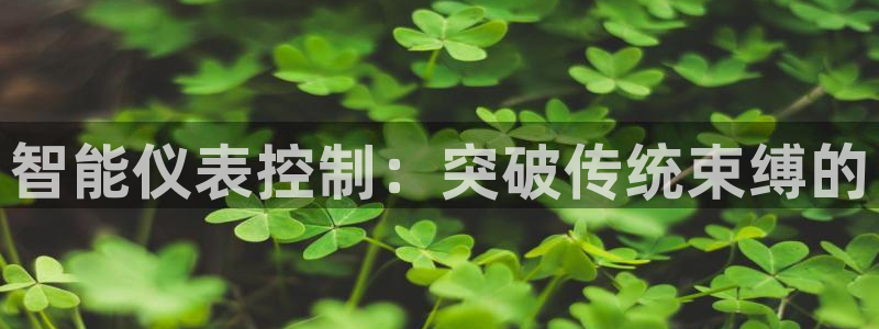 新宝gg平台怎么样