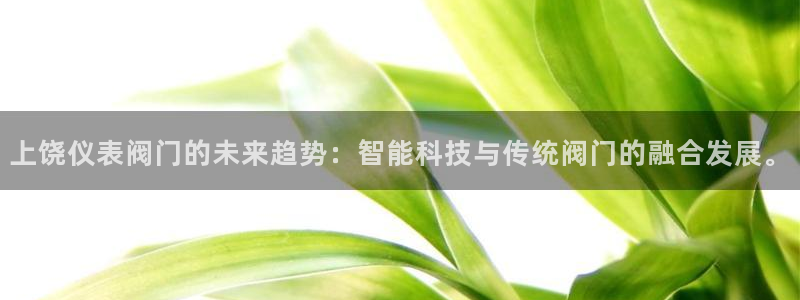 www.新宝gg