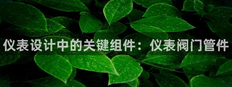 新宝gg娱乐平台