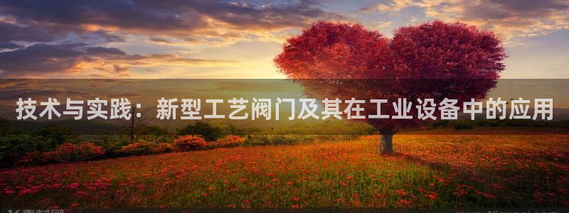 新宝GG上级