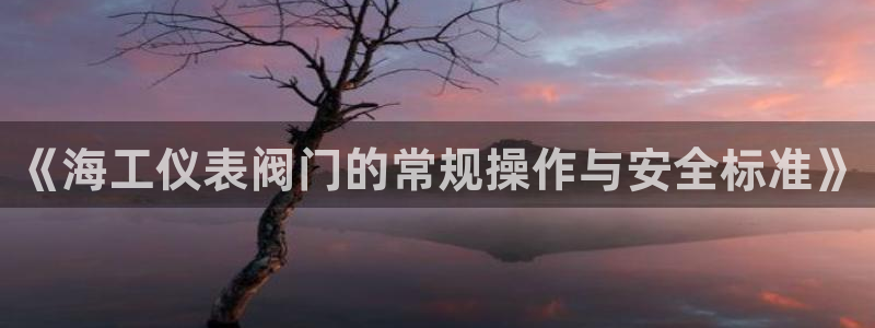 新宝皇冠gg